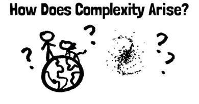Karmaşıklık nasıl ortaya çıkar?