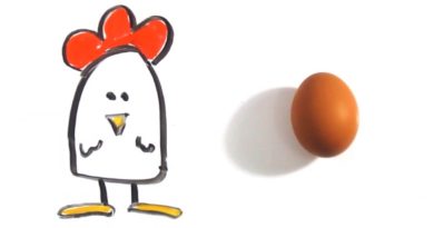 Tavuk ve yumurta: Hangisi önce geldi?
